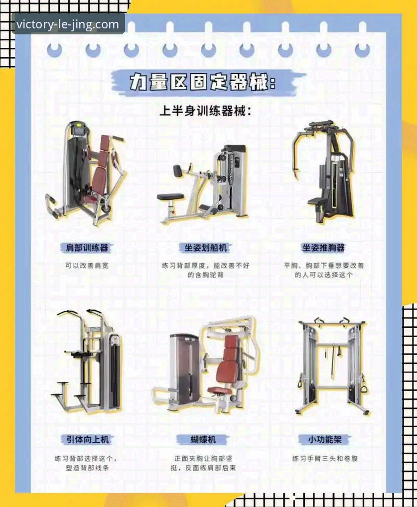 乐竞体育功能教程：从入门到精通的完整使用指南
